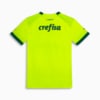 Image PUMA Camisa Palmeiras Torcedor Third Juvenil #2