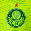 Image PUMA Camisa Palmeiras Torcedor Third Feminina #4