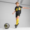 Image PUMA Camisa Borussia Dortmund 24/25 AWAY Juvenil #3