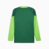 Image PUMA Blusa de Treino Quarter-Zip Palmeiras Masculina 2024 #7