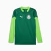 Image PUMA Blusa de Treino Quarter-Zip Palmeiras Masculina 2024 #6