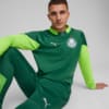 Image PUMA Blusa de Treino Quarter-Zip Palmeiras Masculina 2024 #1