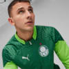 Image PUMA Blusa de Treino Quarter-Zip Palmeiras Masculina 2024 #2