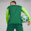 Image PUMA Blusa de Treino Quarter-Zip Palmeiras Masculina 2024 #3