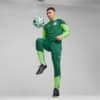 Image PUMA Blusa de Treino Quarter-Zip Palmeiras Masculina 2024 #4