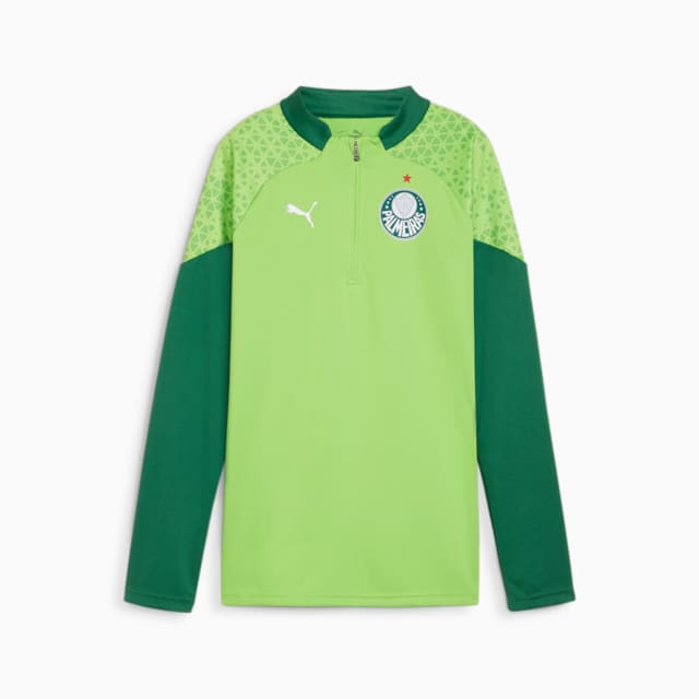 Image PUMA Camisa Treino Palmeiras Quarter-Zip Feminina 2024