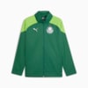 Image PUMA Jaqueta Treino All-Weather Palmeiras Masculina 2024 #6
