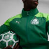 Image PUMA Jaqueta Treino All-Weather Palmeiras Masculina 2024 #2