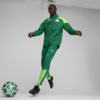Image PUMA Jaqueta Treino All-Weather Palmeiras Masculina 2024 #4