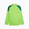 Image PUMA Jaqueta Treino All-Weather Palmeiras Masculina 2024 #7