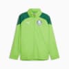 Image PUMA Jaqueta Treino All-Weather Palmeiras Masculina 2024 #6
