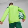 Image PUMA Jaqueta Treino All-Weather Palmeiras Masculina 2024 #3