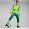 Image PUMA Jaqueta Treino All-Weather Palmeiras Masculina 2024 #4