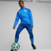 Image PUMA Jaqueta Treino All-Weather Palmeiras Masculina 2024 #4