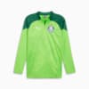 Image PUMA Camisa Treino Palmeiras 2024 Fleece #6
