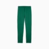 Image PUMA Calça Treino Palmeiras Masculina 2024 #7