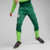 Image PUMA Calça Treino Palmeiras Masculina 2024 #1