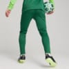 Image PUMA Calça Treino Palmeiras Masculina 2024 #2