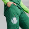 Image PUMA Calça Treino Palmeiras Masculina 2024 #4