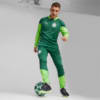 Image PUMA Calça Treino Palmeiras Masculina 2024 #5