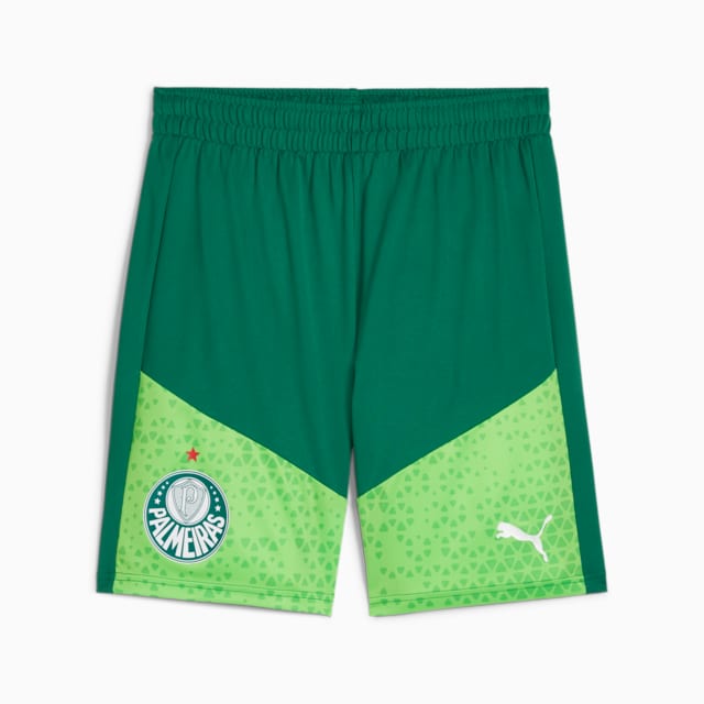 Image PUMA Shorts Treino Sem Bolso Palmeiras Masculino 2024