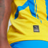 Изображение Puma Футболка FC Shakhtar Donetsk 24/25 Third Jersey Men #2: Racing Blue-Faster Yellow