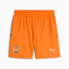 Изображение Puma Шорты FC Shakhtar Donetsk Shorts Men #1: Rickie Orange-PUMA Black