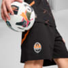 Зображення Puma Шорти FC Shakhtar Donetsk Shorts Men #2: PUMA Black-Rickie Orange