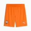 Зображення Puma Шорти FC Shakhtar Donetsk 24/25 Shorts Men #6: Rickie Orange-PUMA Black