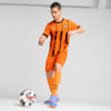 Зображення Puma Шорти FC Shakhtar Donetsk 24/25 Shorts Men #3: Rickie Orange-PUMA Black