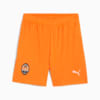 Изображение Puma Шорты FC Shakhtar Donetsk 24/25 Shorts Youth #1: Rickie Orange-PUMA Black