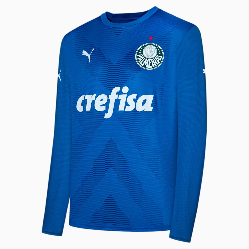 Image PUMA Camisa Palmeiras 2023 Manga Longa Goleiro Home Torcedor Masculina #1