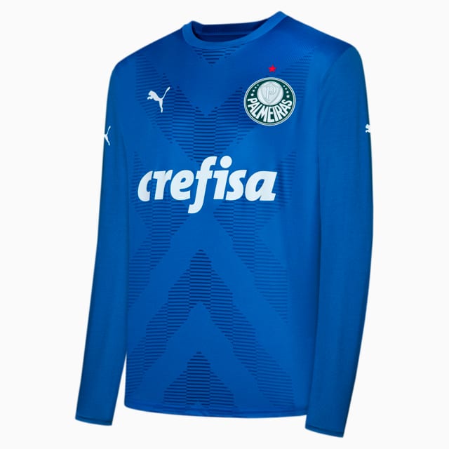 Camisa goleiro palmeiras puma on sale