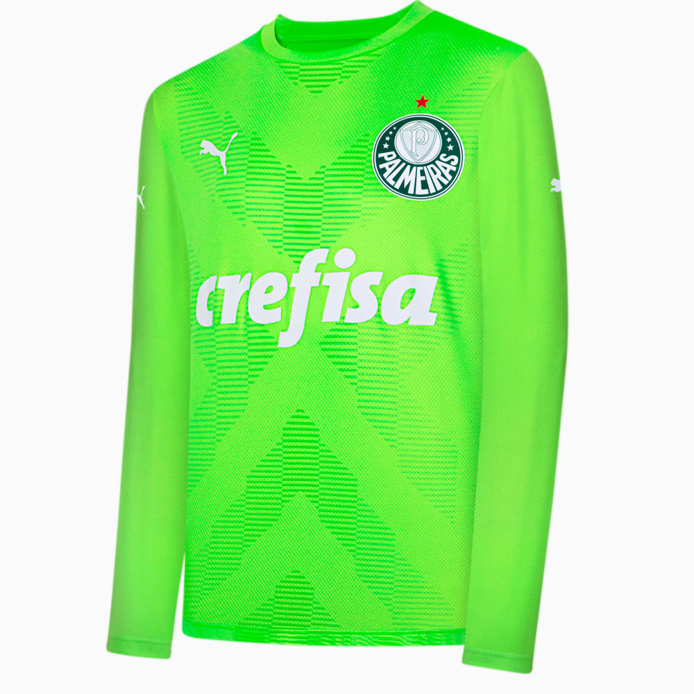 Image PUMA Camisa Palmeiras 2023 Manga Longa Goleiro AWAY Torcedor Masculina #1