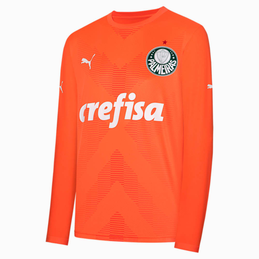 Image PUMA Camisa Palmeiras 2023 Manga Longa Goleiro THIRD Torcedor Masculina #1