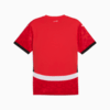 Image PUMA Camisa Egito Home 2025 Masculina #7