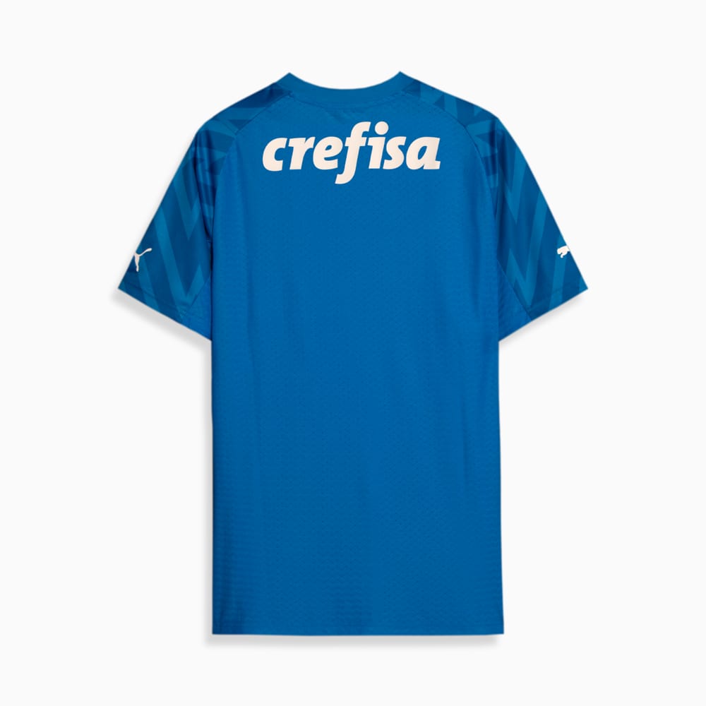 Image PUMA Camisa Palmeiras 1 HOME Goleiro 2024 #1