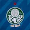 Image PUMA Camisa Palmeiras 1 HOME Goleiro 2024 #3