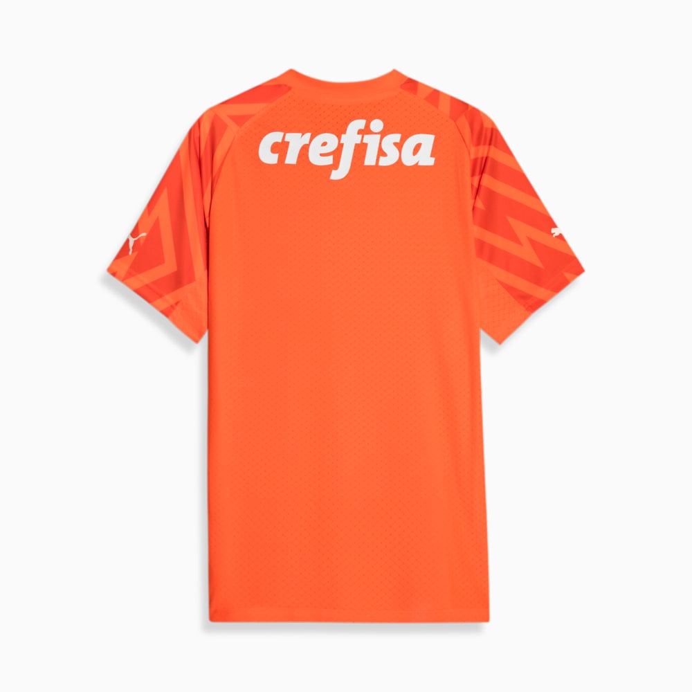 Camisa do palmeiras goleiro new arrivals puma