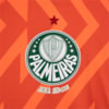 Image PUMA Camisa Palmeiras 3 THIRD Goleiro Jogador 24/25 #4