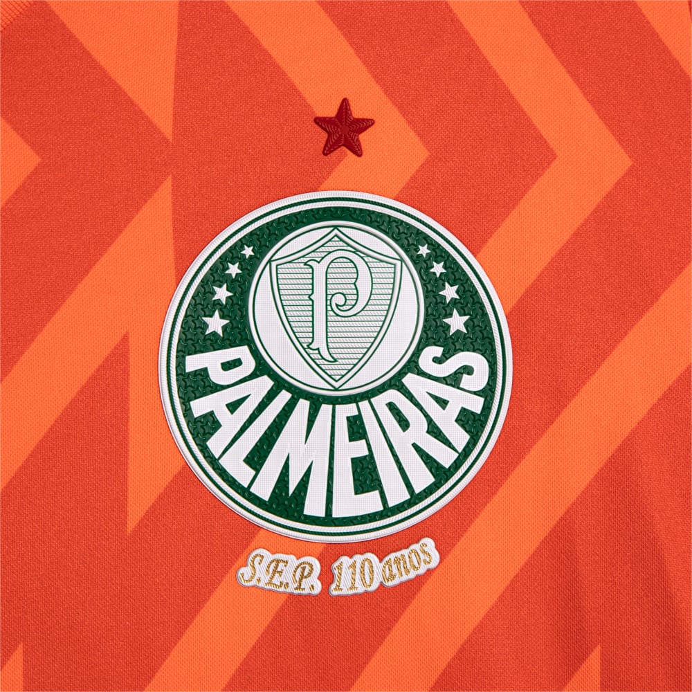 Image PUMA Camisa Palmeiras 3 THIRD Goleiro Jogador 24/25 #3