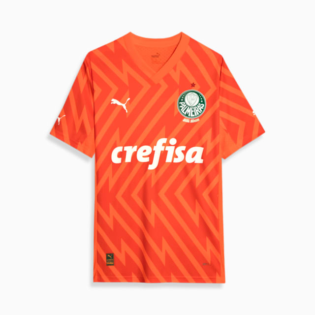 Image PUMA Camisa Palmeiras 3 THIRD Goleiro Jogador 24/25