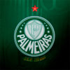 Image PUMA Camisa Palmeiras 1 HOME Jogador 24/25 #4
