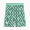 Image PUMA Shorts Palmeiras 2 AWAY Goleiro Jogador 24/25 #1