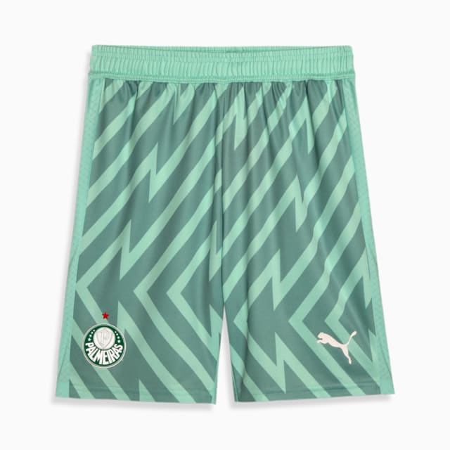 Image PUMA Shorts Palmeiras 2 AWAY Goleiro Jogador 24/25