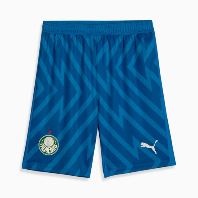 Image PUMA Shorts Palmeiras 1 HOME Goleiro Jogador 24/25