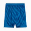 Image PUMA Shorts Palmeiras 3 THIRD Goleiro Jogador 24/25 #2