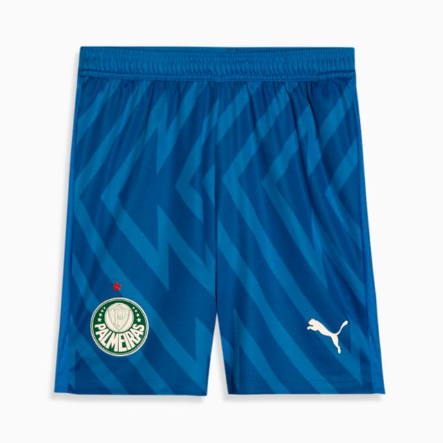 Image PUMA Shorts Palmeiras 3 THIRD Goleiro Jogador 24/25