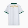 Image PUMA Camisa Palmeiras 2 AWAY Torcedor 24/25 #1