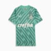 Image PUMA Camisa Palmeiras 2 AWAY Goleiro Torcedor 24/25 #1